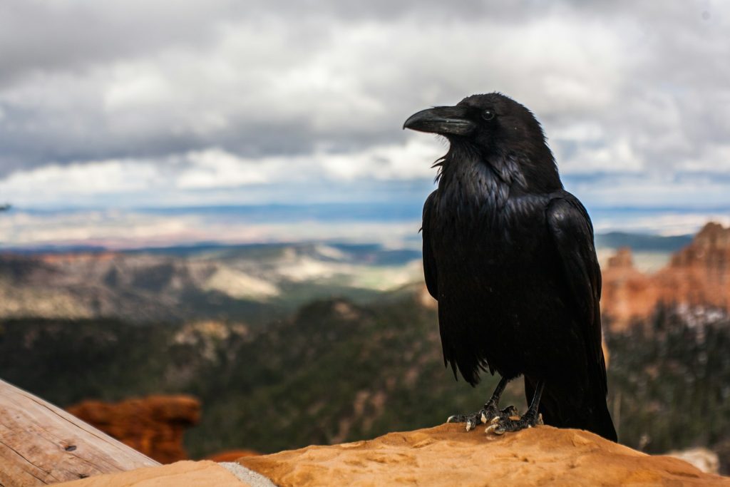 Foto: Unsplash.com
